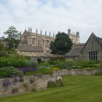 Grüne Oxford