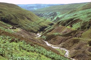 Ein nördliches Seitental des Swaledale (Bild: einklich.net/Wikipedia)